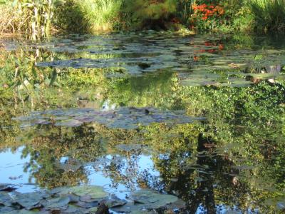 jardin d'eau Giverny