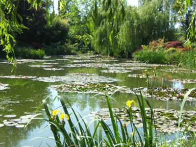 the waterlilly pond in monet's garden
