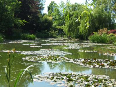 Monet's water garden