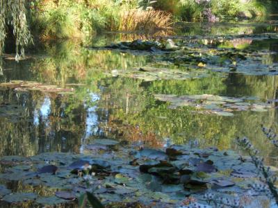 Monet pond in autumn